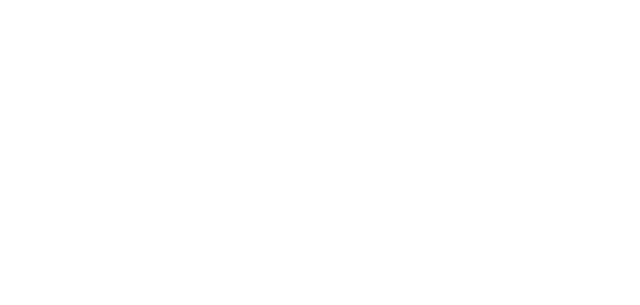 Blue Holding